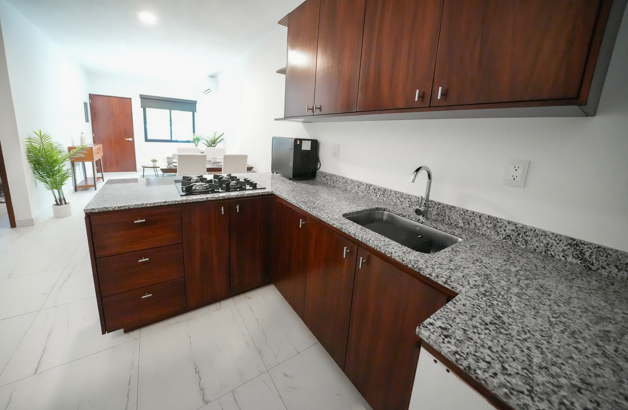 Vista cocina a recibidor